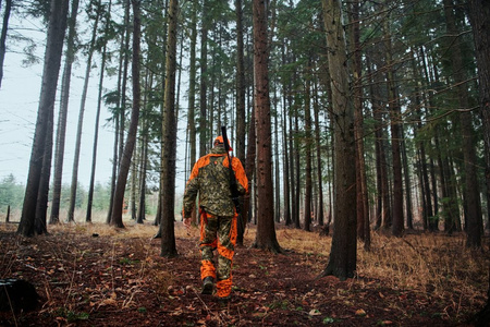 Spodnie Vantage trousers