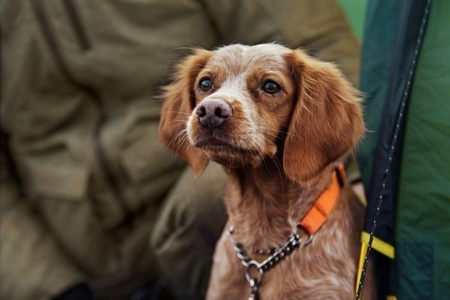 Kurtka Mountain Hunter jacket