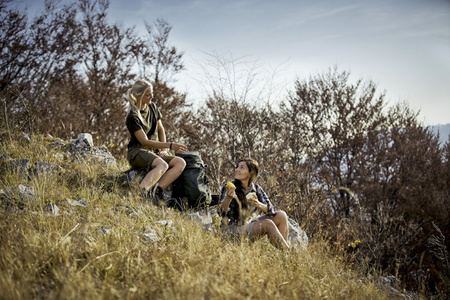 Koszulka Lady t-shirt W.Shield