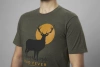 Koszulka STAG FEVER T-SHIRT