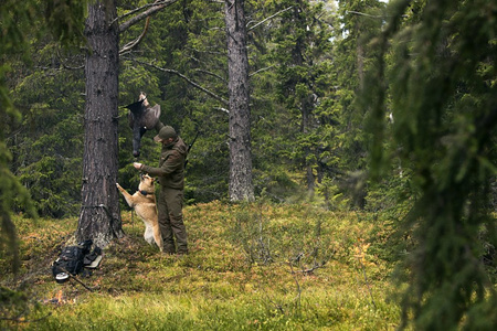 Kurtka Härkila Metso Active - z dodatkiem wełny pokryta Bionic Finish®