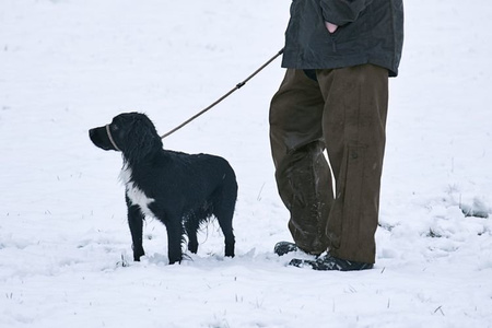 Spodnie Buckthorn Overtousers
