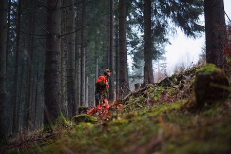 Spodnie Wildboar Pro trousers