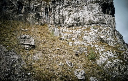 Kurtka Pro Gamekeeper - krótka