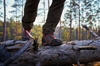 Buty Forest Hunter GTX® Mid z membraną Gore-Tex® + gratis pasta do butów