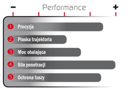 GECO .30-06 PLUS 11,0g