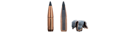SAKO 30-06 Spring. ARROWHEAD II 11,7g / 180grs