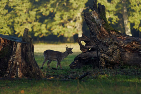 Kurtka Deer Stalker camo z membraną HWS®