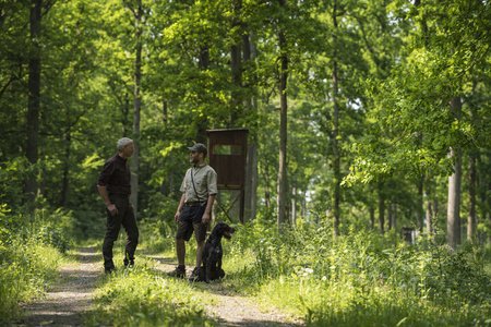 Spodenki Strike shorts