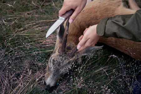 Kurtka damska AVAIL WOMAN