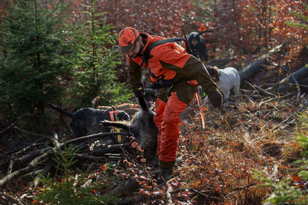 Spodnie Wildboar Pro trousers