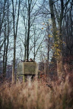 Kurtka Seeland Avail - cicha, lekka i nieprzemakalna z membraną Seetex