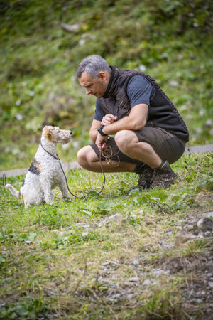 Spodenki Strike shorts