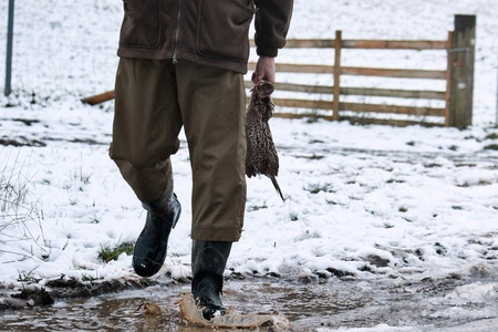 Spodnie Buckthorn Overtousers
