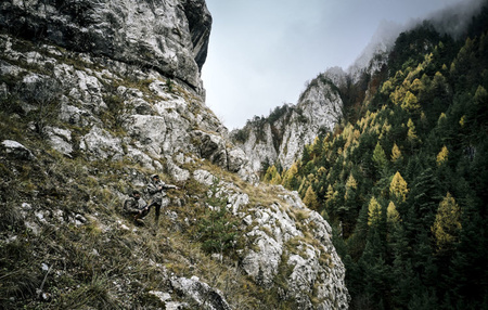 Kurtka Deerhunter Pro Gamekeeper smock