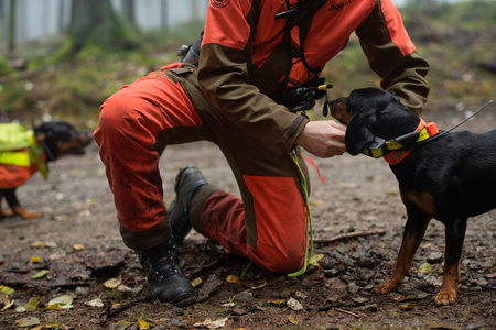 Spodnie Wildboar Pro trousers