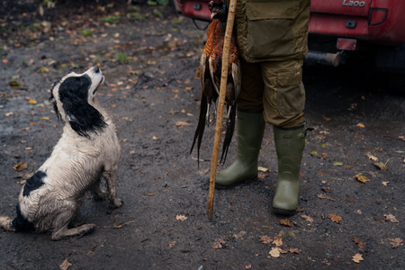 Spodnie Key-Point Elements wytrzymałe, wszechstronne i odporne na warunki pogodowe