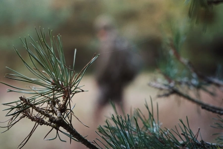 Spodnie Hawker Trek trousers