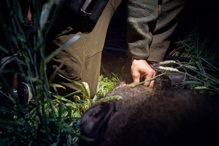 Spodnie Wildboar Pro Move Trousers