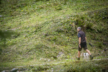 Spodenki Strike shorts