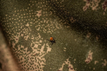 Bluza DEER STALKER CAMO FLEECE HOODIE z technologią TANATEX®