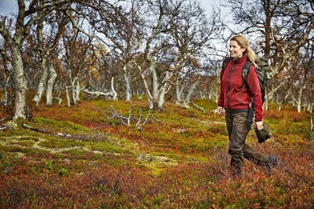 Bluza damska polarowa dwustronna Härkila Kanu z membraną Gore-Tex Iinfinium™ Windstopper®