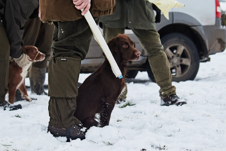 Stuptuty Buckthorn Gaiters
