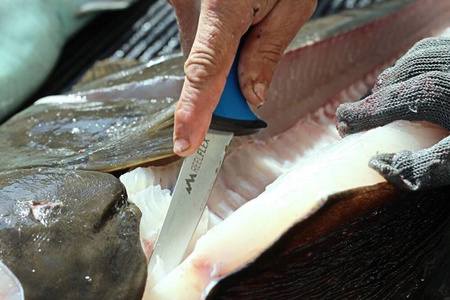 Zestaw 3 noży Outdoor Edge Reel-Flex Fillet