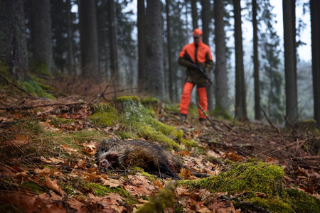 Spodnie Wildboar Pro trousers