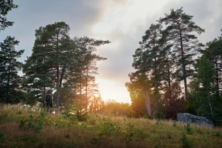 Koszulka T-shirt Härkila NOCTYX Camo S/S - z Polygiene