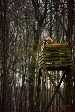 Kurtka Hawker Advance jacket women