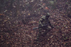 Hawker ©PRYM1 CAMO - całoroczny zestaw softshellowy