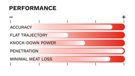 GECO .308 Win. PLUS 11,0g